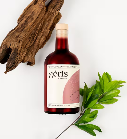 GĖRIS - fermentuotas juodųjų serbentų gėrimas