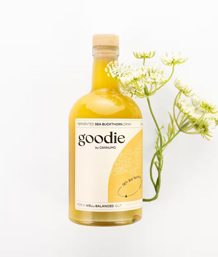 Goodie - fermentēts smiltsērkšķu dzēriens